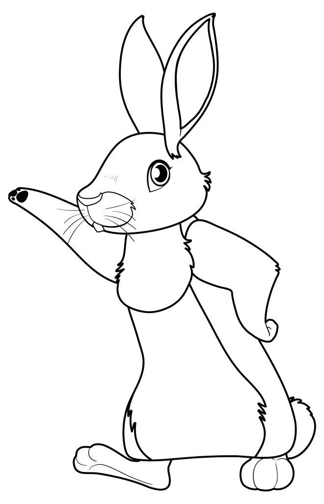 Bunny Rabbit Coloring