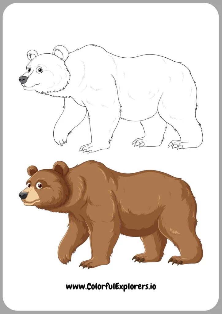 Bear in the Wild