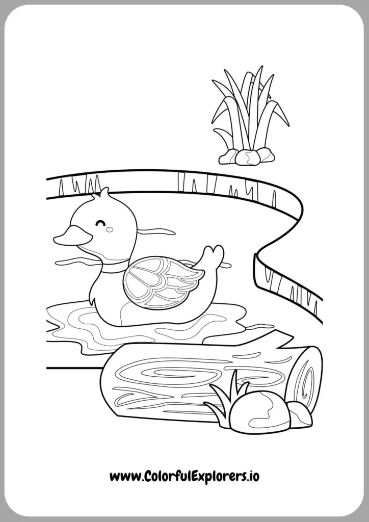 Beautiful Duck in Full Bloom