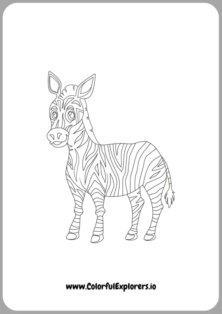 Colorful Zebra Patterns to Brighten Your Day