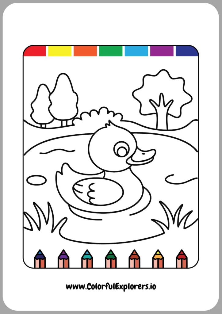 Curious Duck Exploring Nature