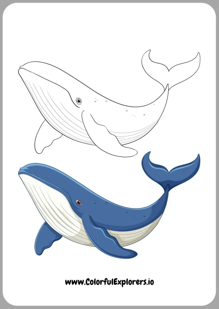 Dolphin Swimming in the Sea Coloring Page