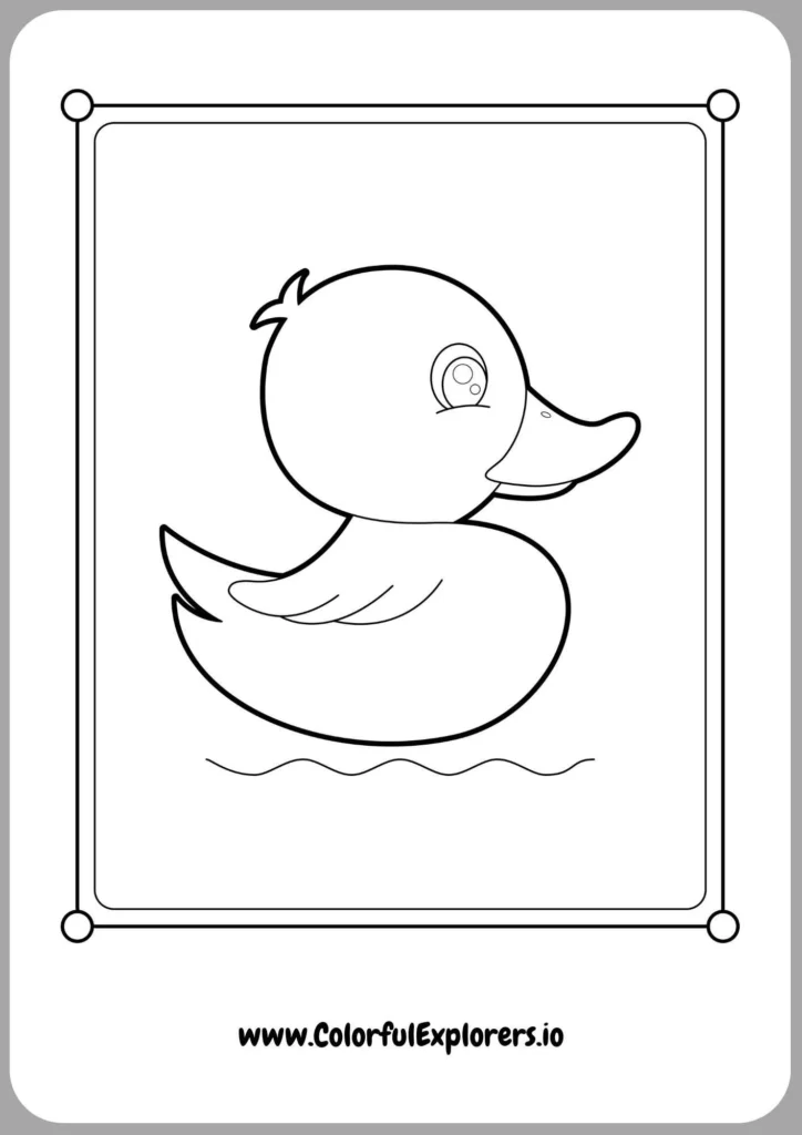 Duckling on a Sunny Day