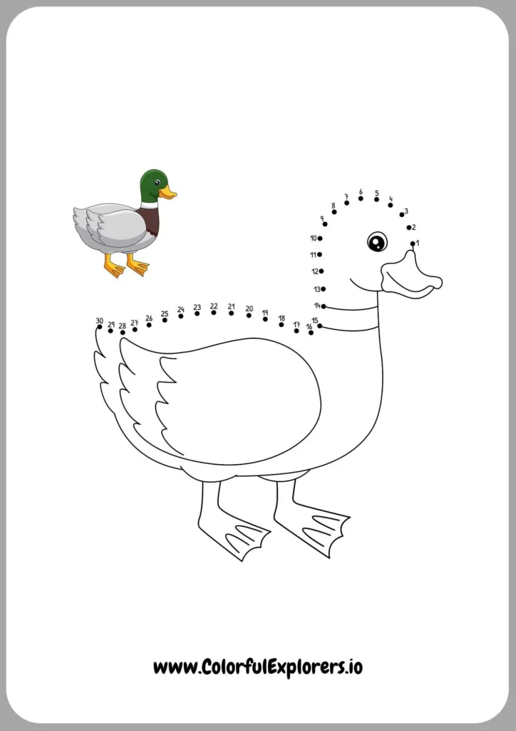 Elegant Duck in a Calm Pond