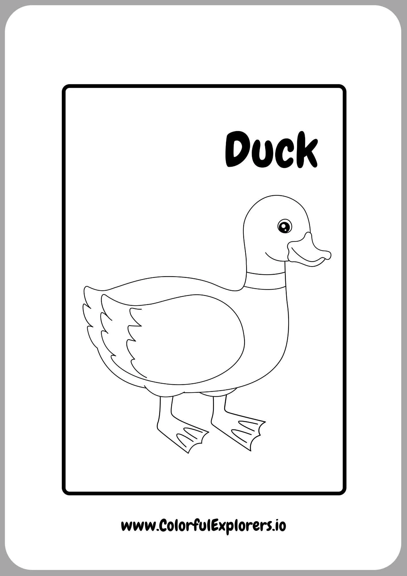 Fluffy Duck with Bright Colors