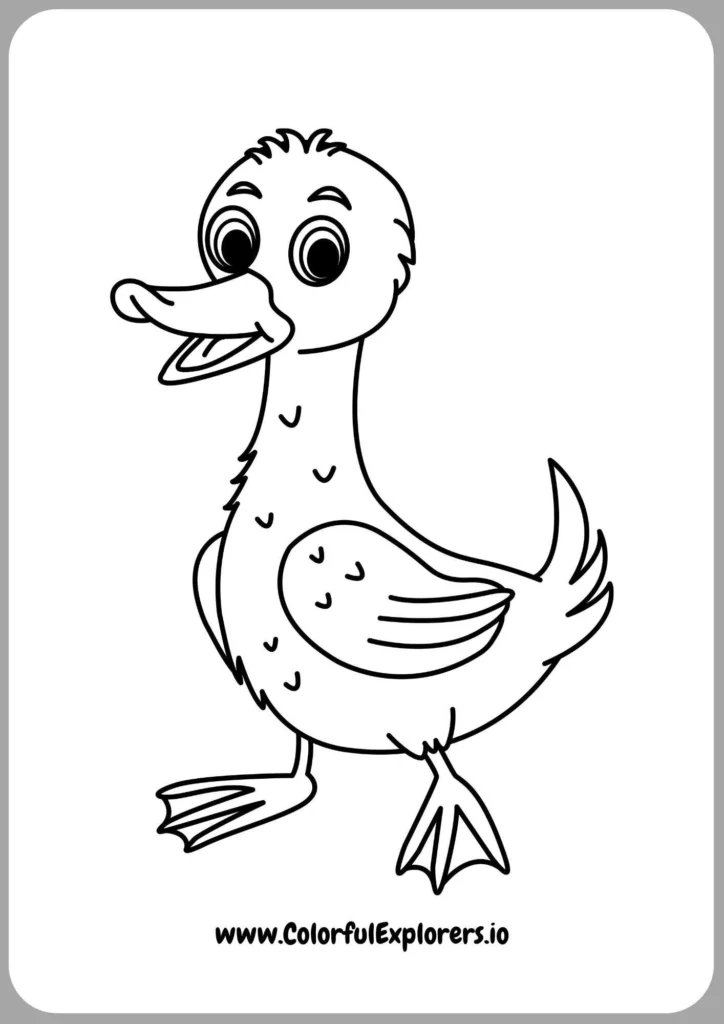 Fun Duck Coloring Fun