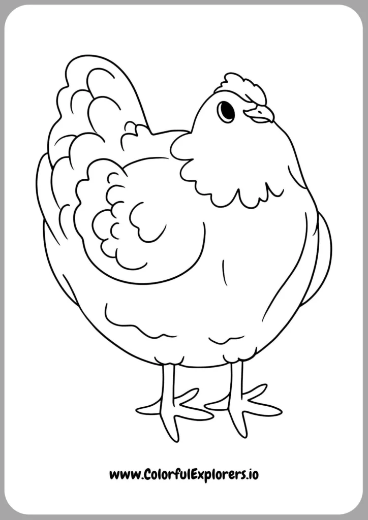 Happy Chicken at the Farm