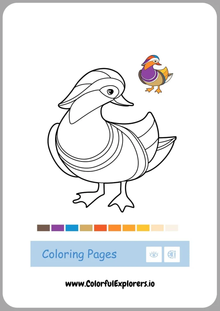 Happy Duck with Fluffy Feathers