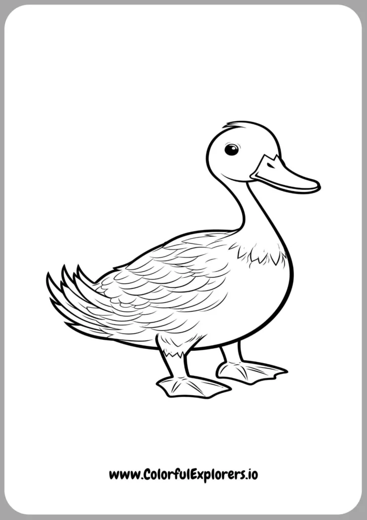 Playful Duck Ready to Color