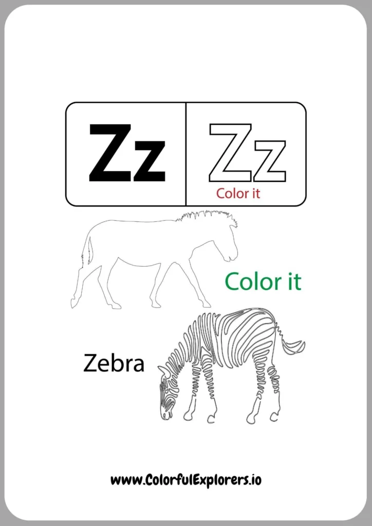 The Majestic Zebra - A Perfect Coloring Page