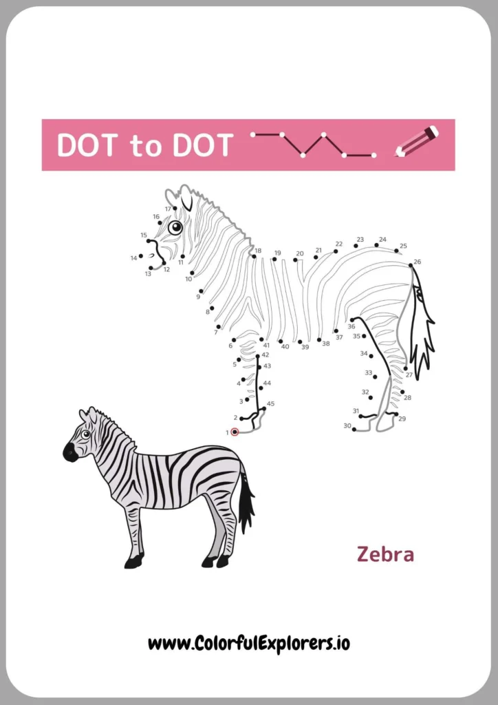Unleash Your Imagination with Zebra Art