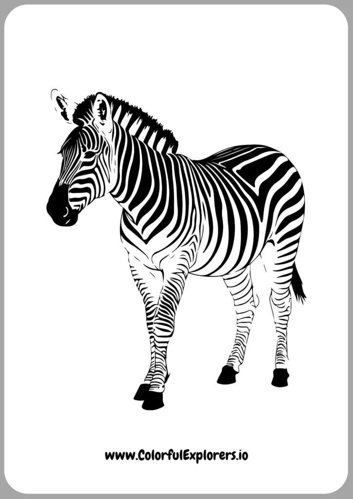 Zebra Stripes Await Your Creative Touch